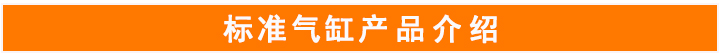 帶閥標(biāo)準(zhǔn)氣缸